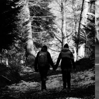 Paar geht Hand in Hand im Wald als Symbol für Fremdgehen, heimliche Treffen und private Ermittlungen der Detektei Fahtz in Berlin